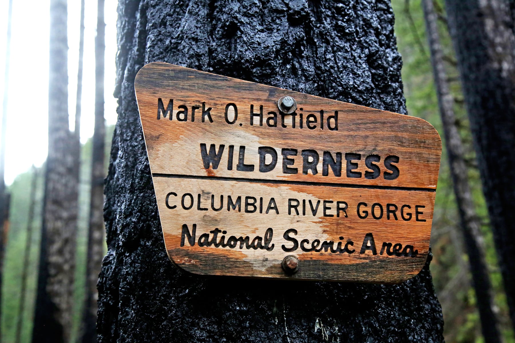 Four hikers rescued from closed Columbia River Gorge trail