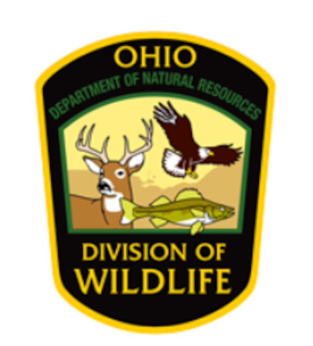Wildlife officers rescue eagles, horses; crack down on illegal hunting and fishing